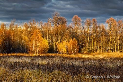 Autumn Landscape_00480.jpg - Photographed at sunset near Smiths Falls, Ontario, Canada.
